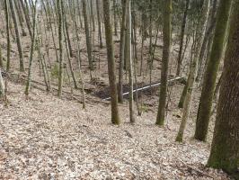 Ligne Maginot - DEPOT - (Abri) - Les entrées sont construits sur la pente, l'égout visitable est en-bas