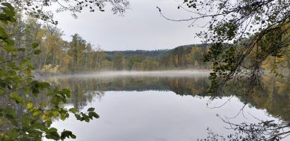 Ligne Maginot - ERBSENTHAL  - ETANG - (Inondation défensive) - 
