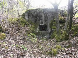 Ligne Maginot - ERLENMOOS EST (AVANT POSTE) - (Blockhaus pour arme infanterie) - Vue avant
