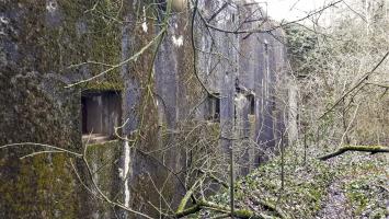Ligne Maginot - BUCHHOLZBERG (I / 79° RIF) - (Abri) - Les créneaux FM de façade