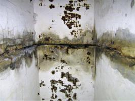 Ligne Maginot - HOFFEN - (Abri) - L'abri fissuré en son milieu dans le couloir arrière
