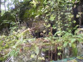 Ligne Maginot - SCHMELZBACH OUEST - (Casemate d'infanterie) - 