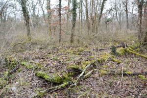Ligne Maginot - BAERENRAIN - (Casernement) - Soubassement de la Gd baraque