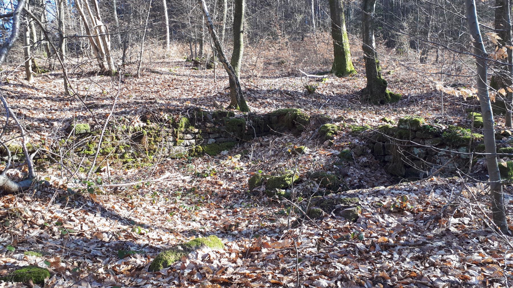 Ligne Maginot - GUNSTHAL COL - Fondations de baraquement entre les deux blockhaus