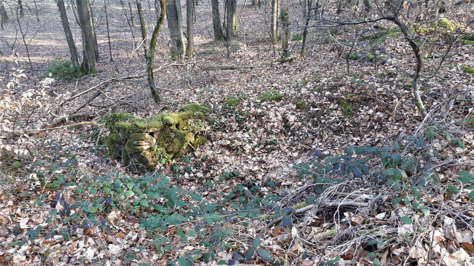Ligne Maginot - NAGELSTHAL - (Blockhaus pour arme infanterie) - Retranchement à proximité du blockhaus