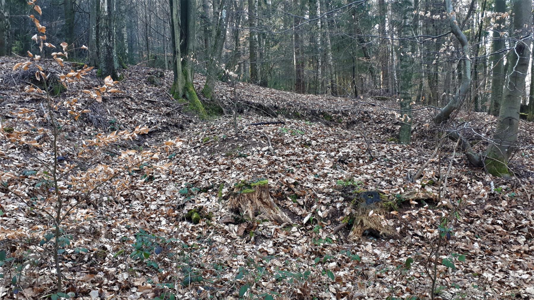 Ligne Maginot - NAGELSTHAL - (Blockhaus pour arme infanterie) - Tranchée menant à un retranchement à proximité du blockhaus