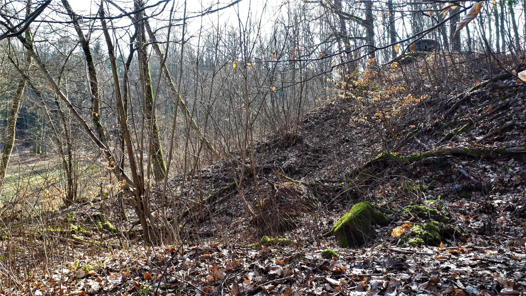 Ligne Maginot - GUNSTHAL FERME OUEST - (Blockhaus pour arme infanterie) - Cratère de bombe devant le blockhaus 