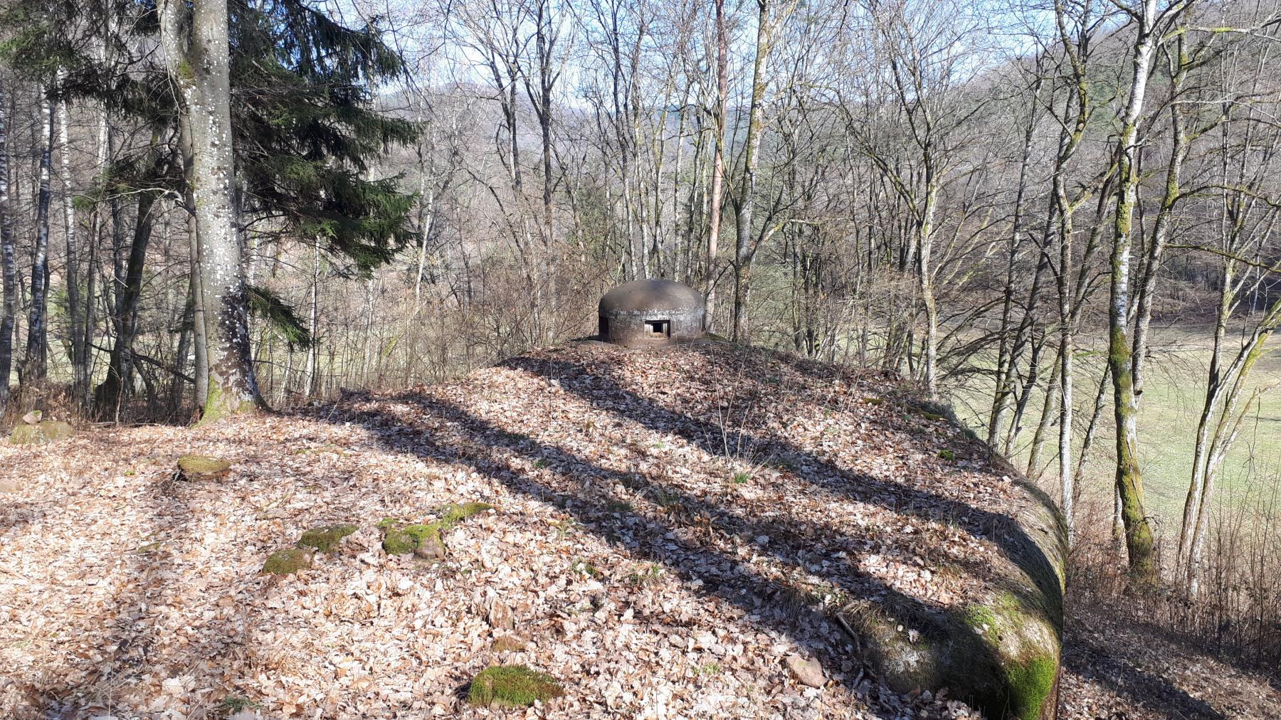 Ligne Maginot - GUNSTHAL FERME OUEST - (Blockhaus pour arme infanterie) - La cloche GFM surplombant le vallon de Guensthal