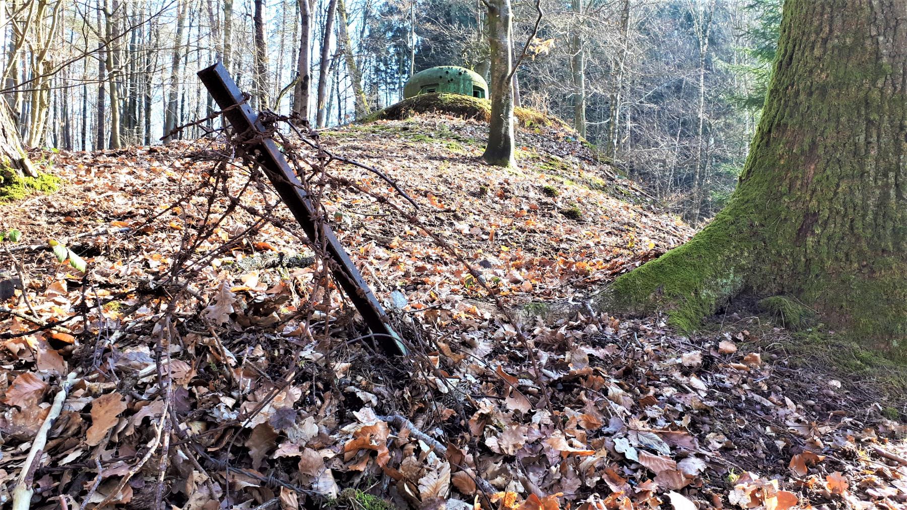 Ligne Maginot - GUNSTHAL FERME EST - (Blockhaus pour arme infanterie) - Réseau barbelés devant la cloche GFM