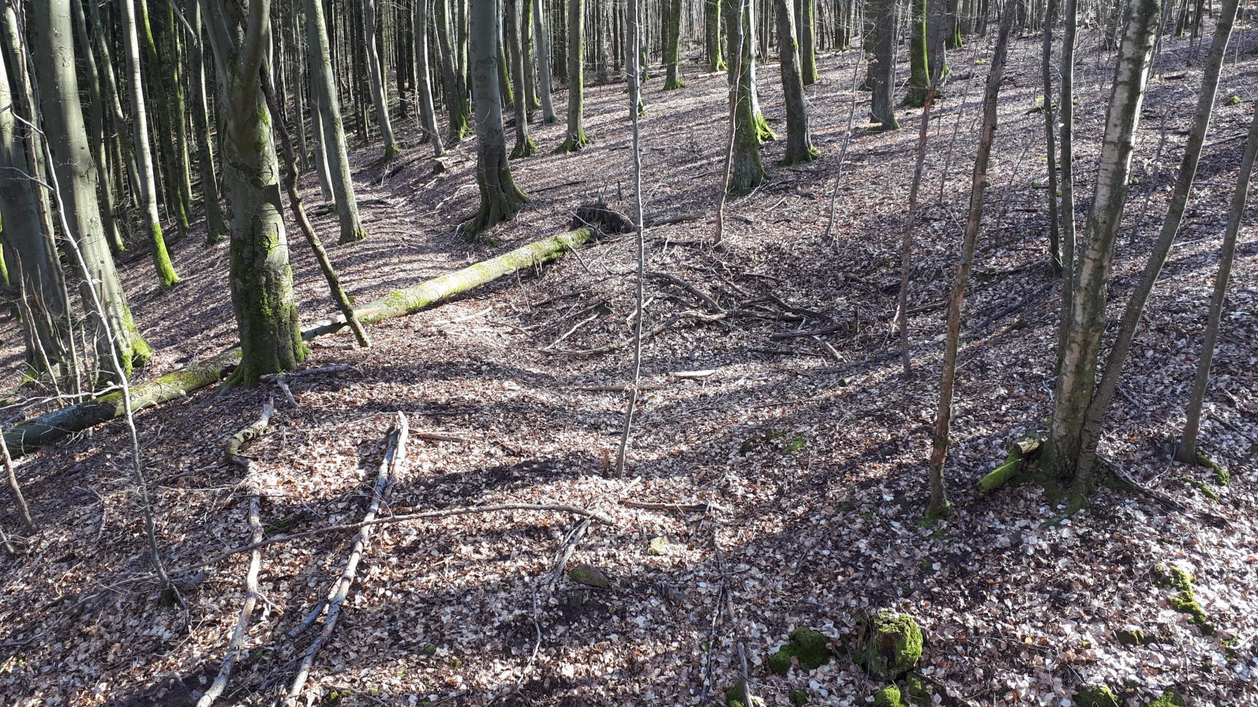 Ligne Maginot - MARKBACH - (Blockhaus pour arme infanterie) - Une tranchée menant à l'entrée du blockhaus