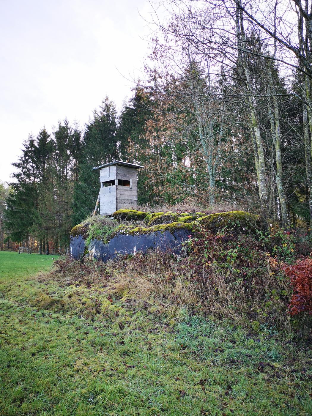 Ligne Maginot - WASENBERG 7 - (Blockhaus pour arme infanterie) - Vue sur le blockhaus n°7 du Wasenberg, explosé par les allemands en 1944. Un mirador a été installé à proximité