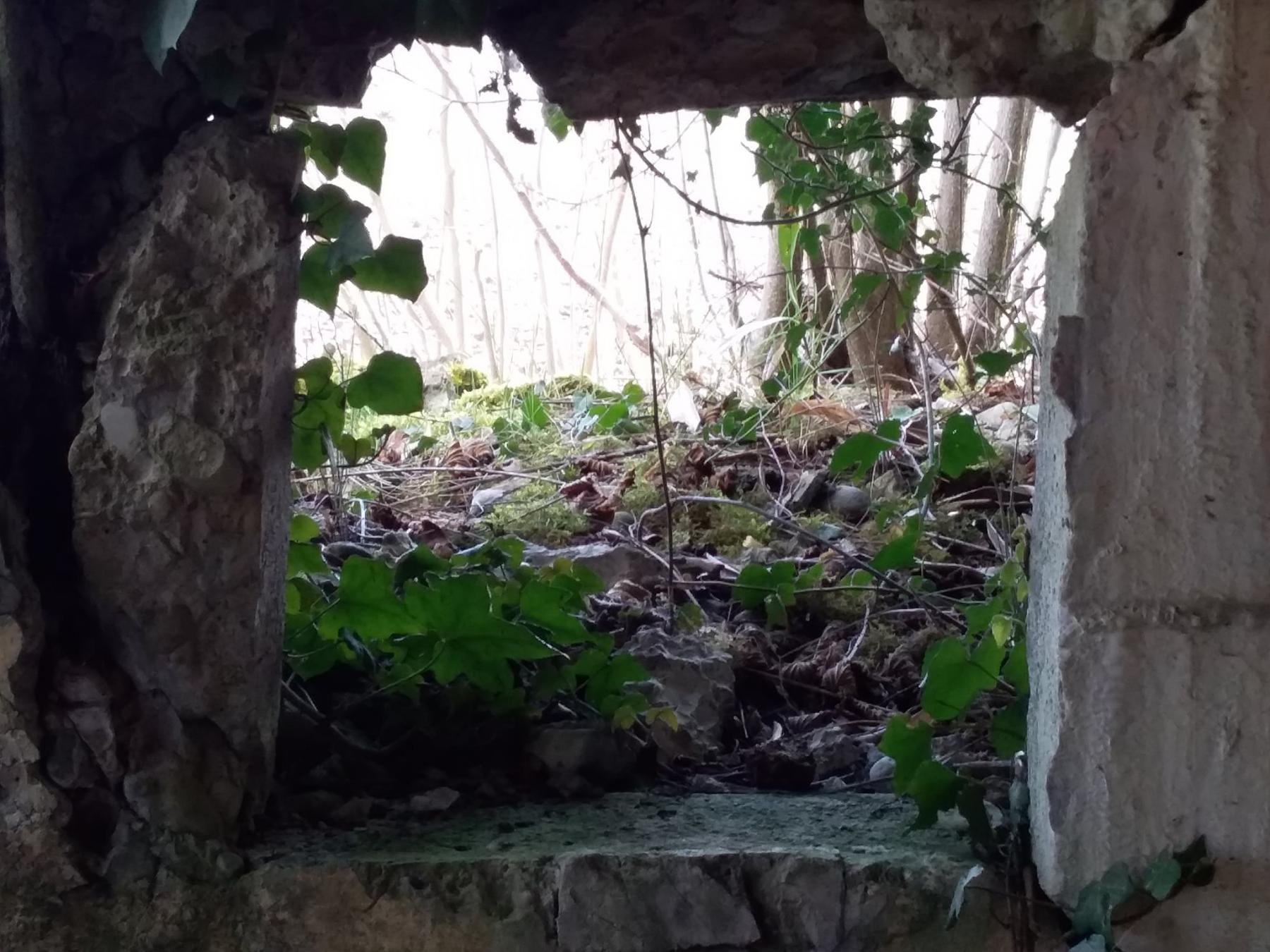 Ligne Maginot - SAASENHEIM NORD 2 - (Blockhaus pour arme infanterie) - 