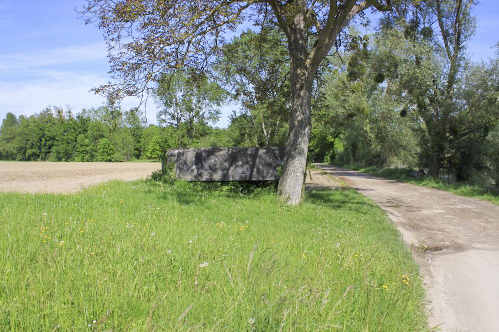 Ligne Maginot - IM WOOG - (Blockhaus pour arme infanterie) -  - Aurélien EBEL