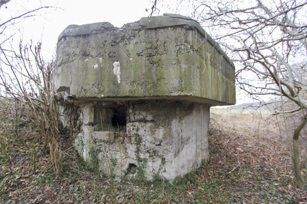 Ligne Maginot - JUNGGRUND - (Blockhaus pour arme infanterie) -  - A. SCHOEN