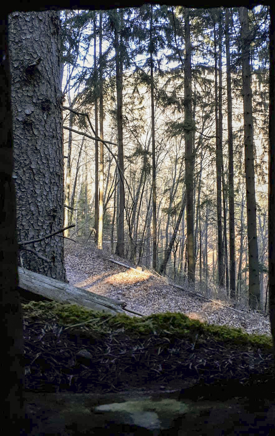 Ligne Maginot - FM77 - BETZENTHAL 4 - (Blockhaus pour arme infanterie) - Vue depuis le créneau frontal - Gregory Fuchs