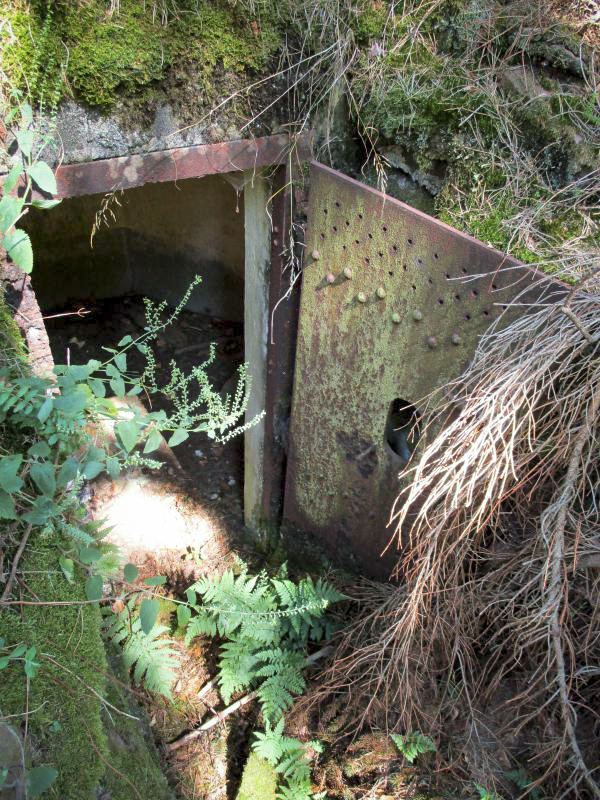 Ligne Maginot - FM40 - BETZENTHAL 3 - (Blockhaus pour arme infanterie) - L'entrée