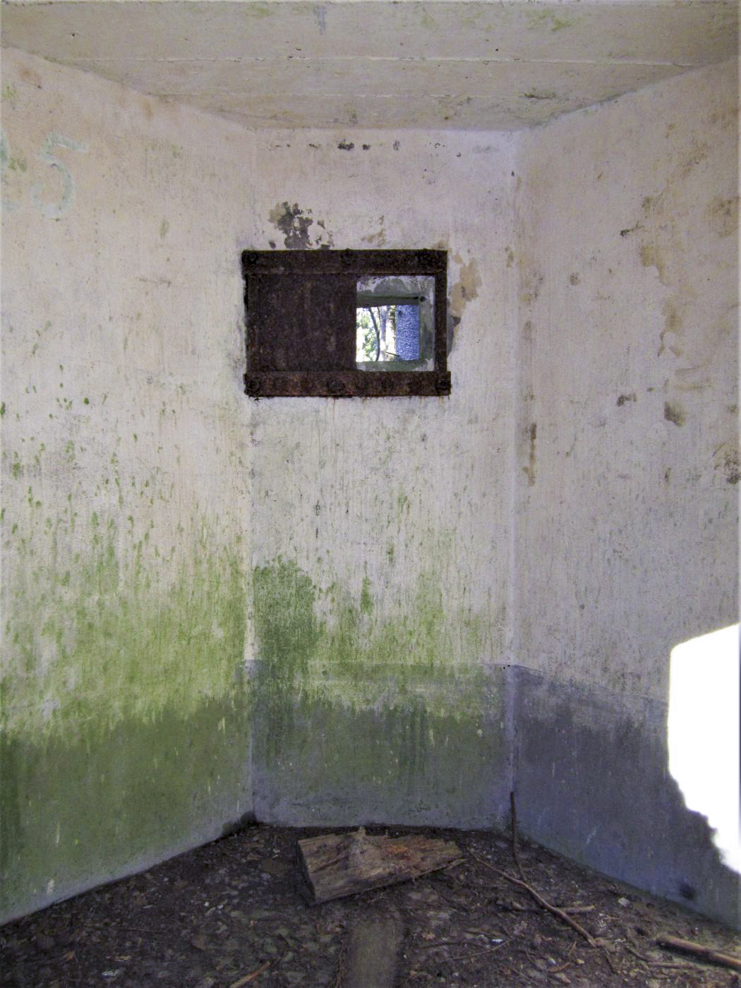 Ligne Maginot - FM40 - BETZENTHAL 3 - (Blockhaus pour arme infanterie) - Le créneau frontal