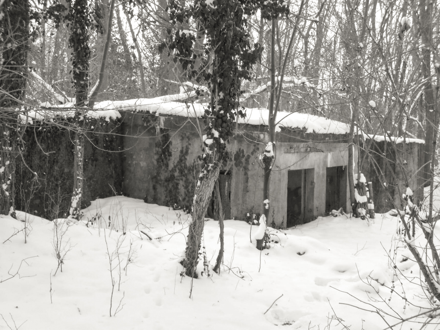 Ligne Maginot - QUARTIER MARCKOLSHEIM (1°BON - 42°RIF) - (PC de Quartier) - 