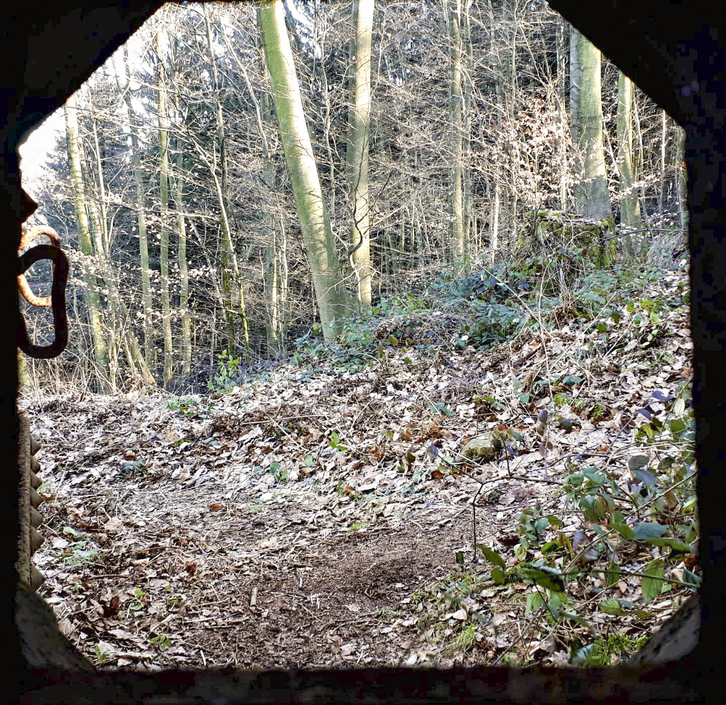 Ligne Maginot - GUNSTHAL COL EST - (Blockhaus pour arme infanterie) - Vue depuis le créneau FM de la caponnière