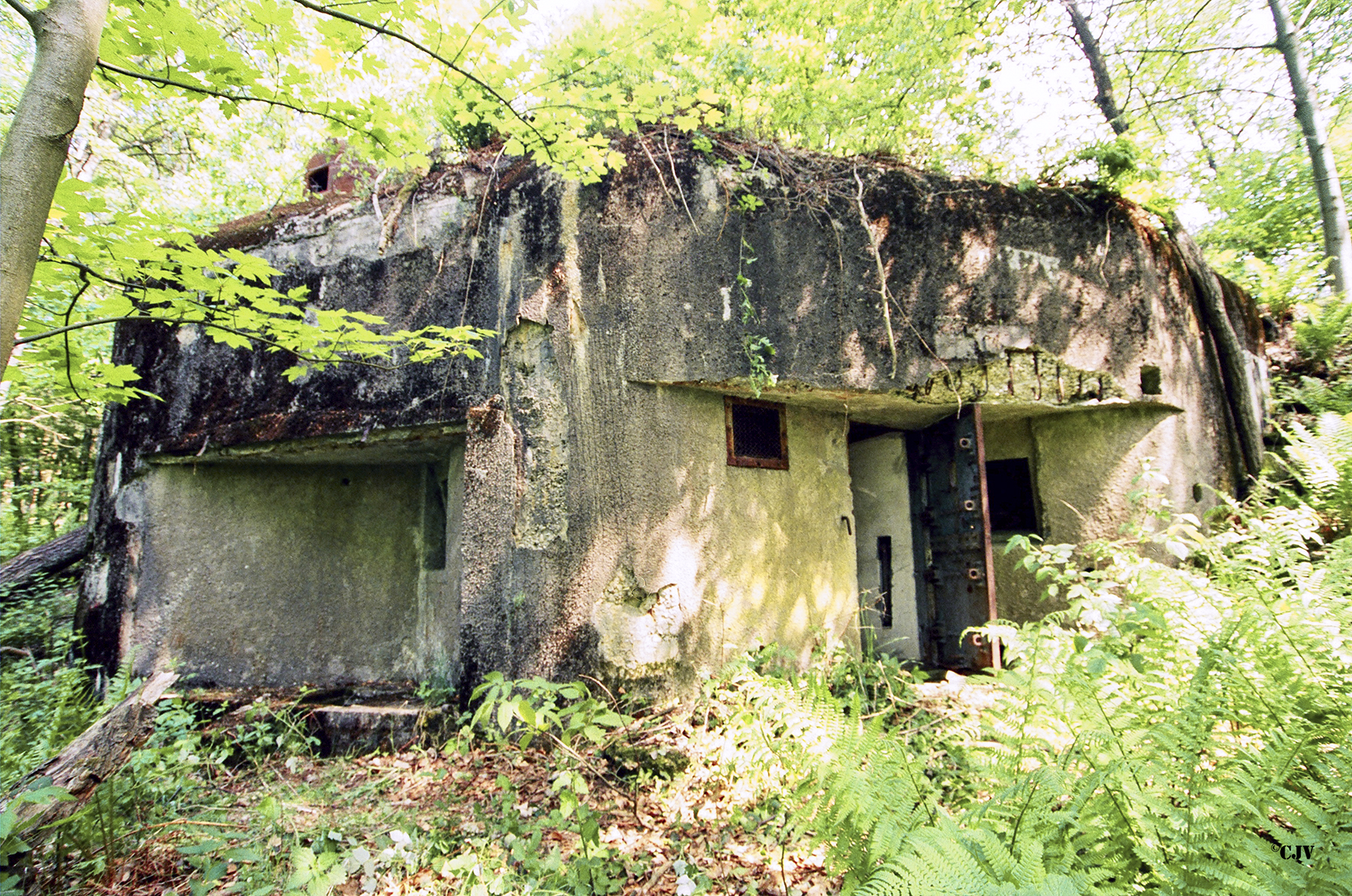 Ligne Maginot - GUNSTHAL COL OUEST - (Blockhaus pour arme infanterie) - Vue sur l'entrée et les deux créneaux FM