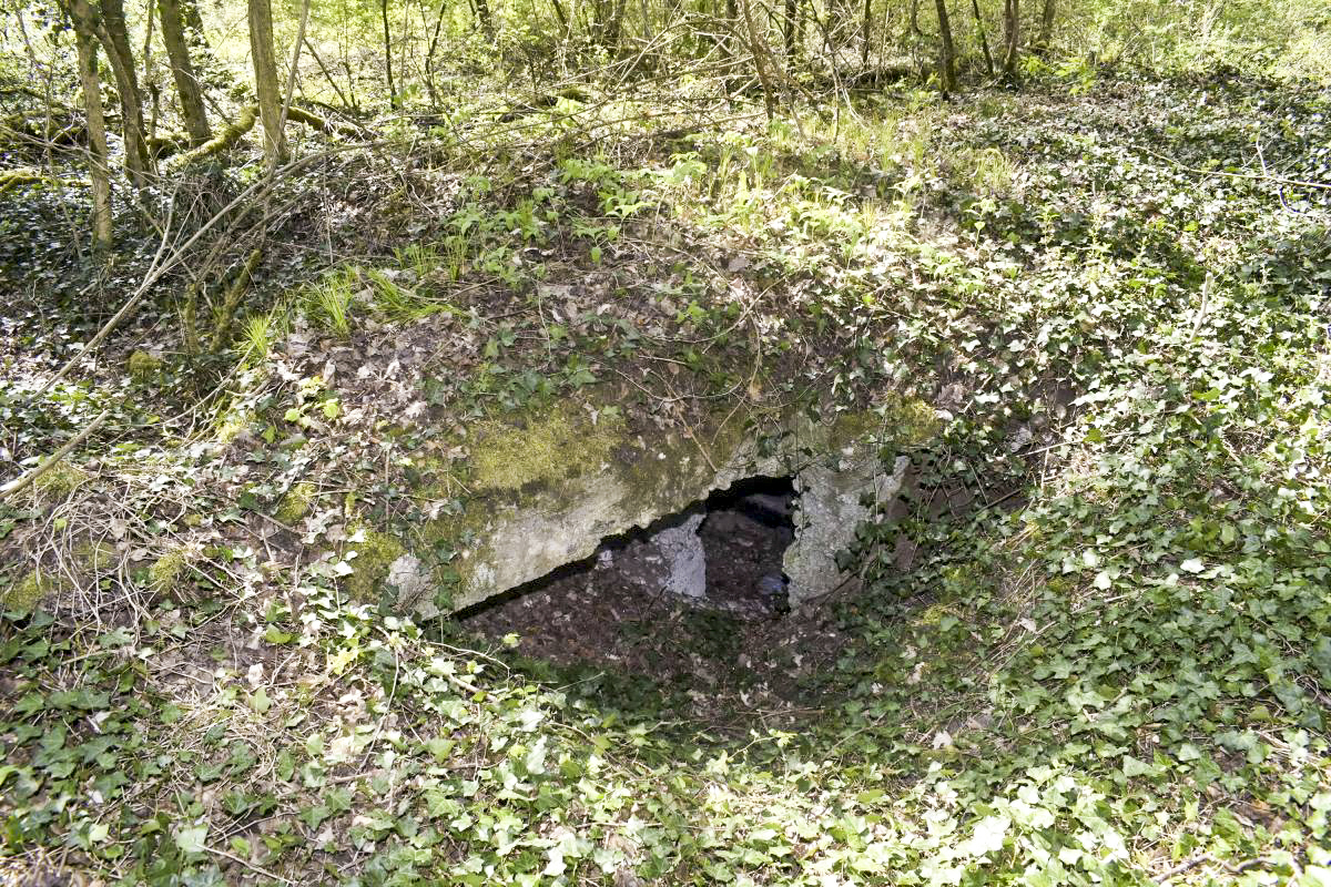 Ligne Maginot - BLODELSHEIM OUEST 4 - (Abri) - Entrée nord