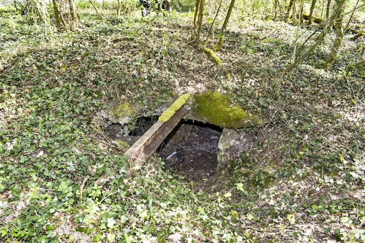 Ligne Maginot - BLODELSHEIM OUEST 4 - (Abri) - Entrée ouest