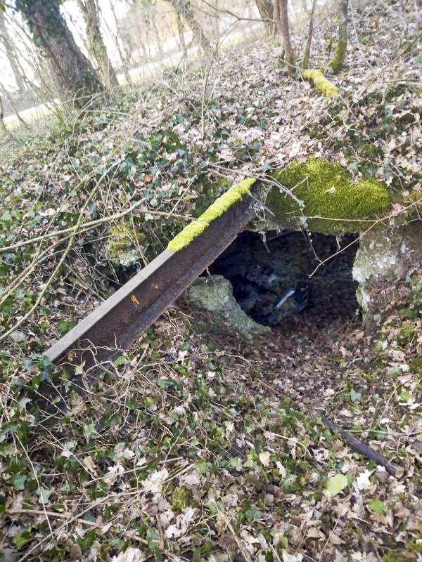 Ligne Maginot - BLODELSHEIM OUEST 4 - (Abri) - Vue extérieure