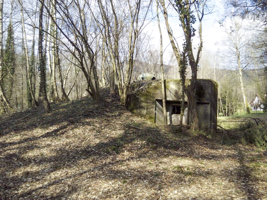 Ligne Maginot - NAGELSTHAL - (Blockhaus pour arme infanterie) - Vue sur la chambre de tir sud