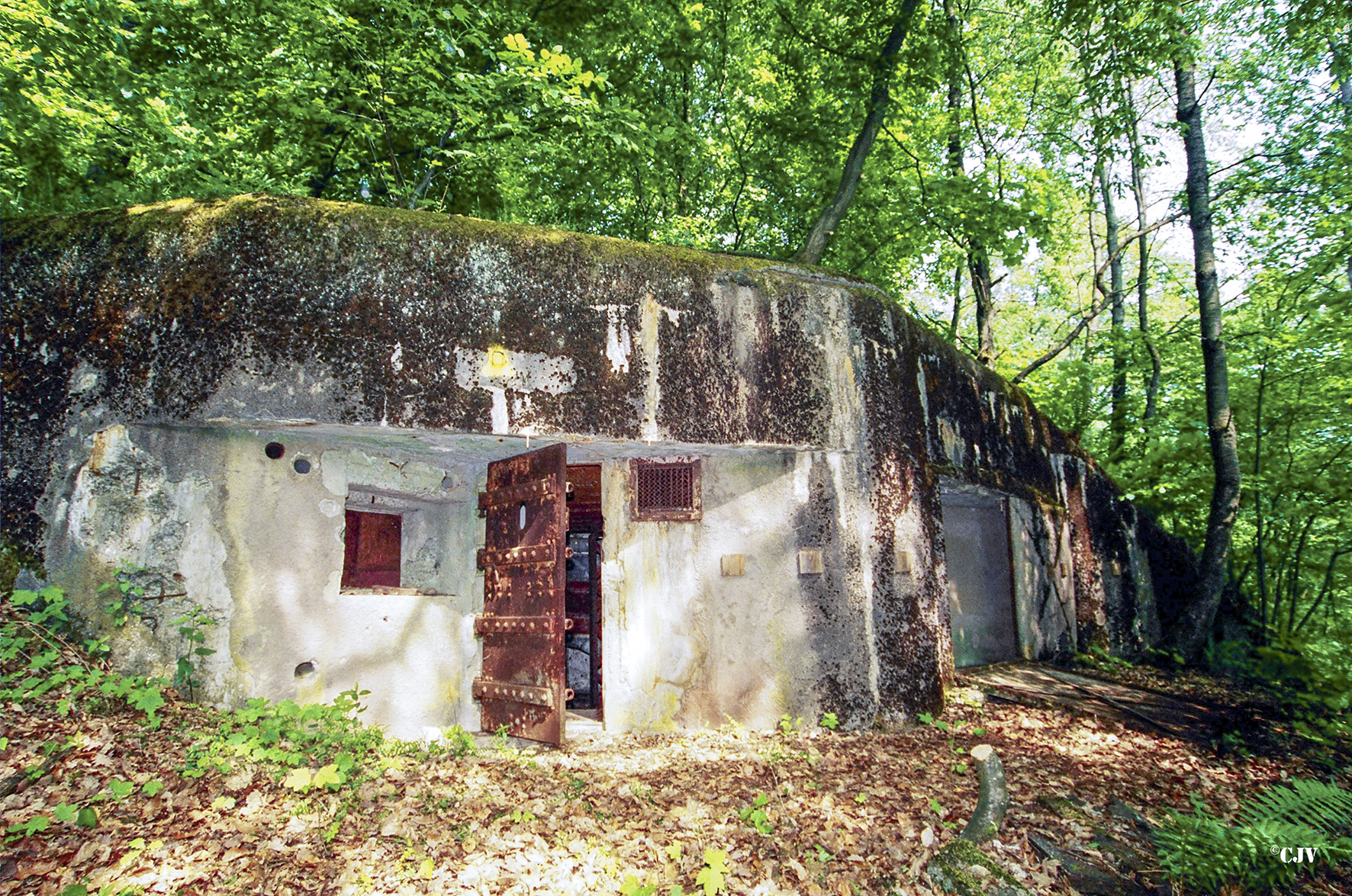 Ligne Maginot - GUNSTHAL FERME OUEST - (Blockhaus pour arme infanterie) - Vue sur l'entrée