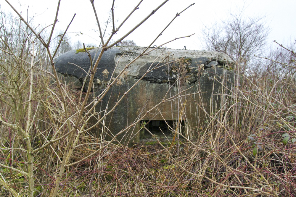 Ligne Maginot - LILIENFELD SUD - (Blockhaus pour arme infanterie) - 