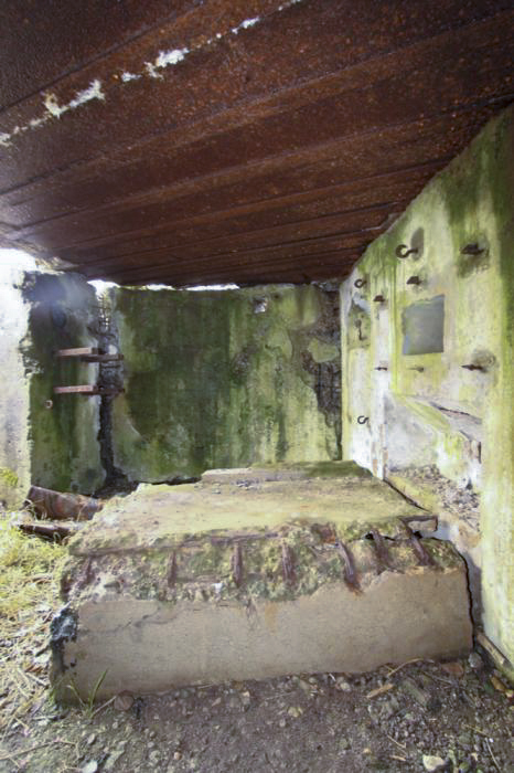Ligne Maginot - LILIENFELD SUD - (Blockhaus pour arme infanterie) - 