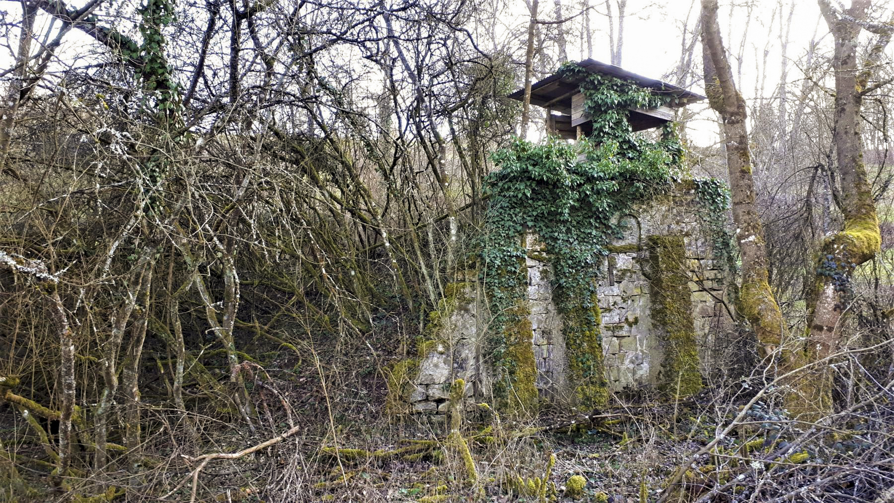 Ligne Maginot - WOERTH - (Stand de tir) - Le massif récepteur