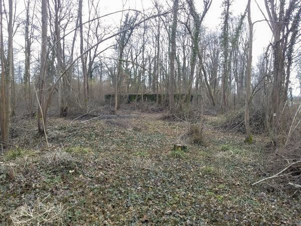 Ligne Maginot - BOIS D'ARTZENHEIM 3 - (PC) - 