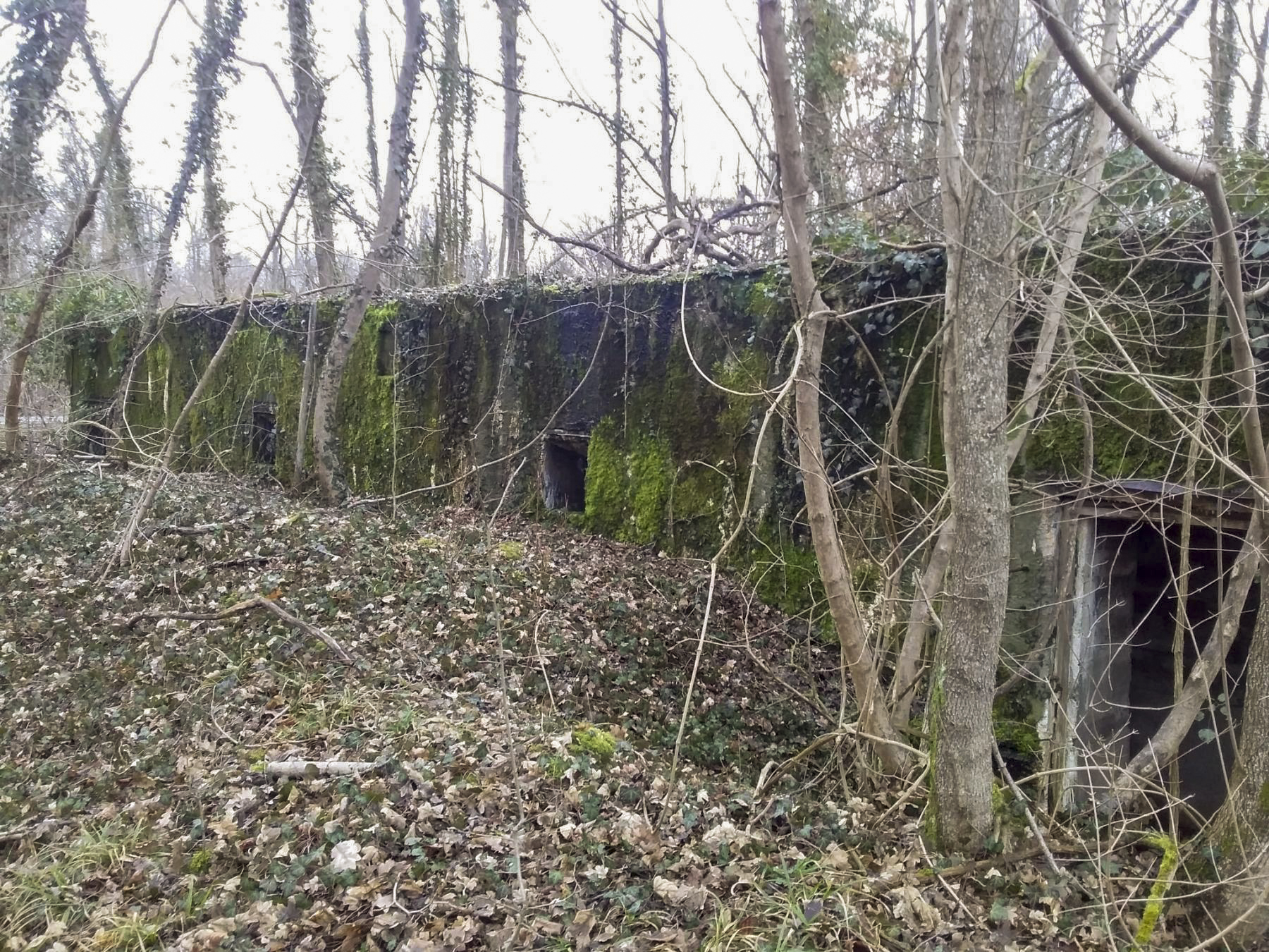 Ligne Maginot - BOIS D'ARTZENHEIM 3 - (PC) - 