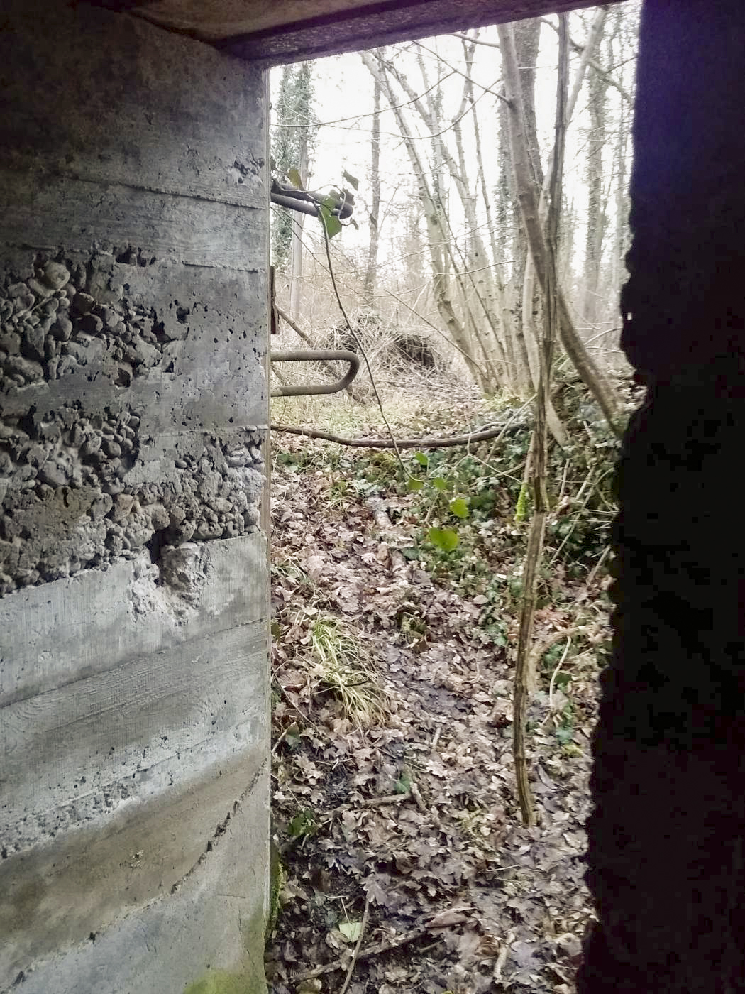 Ligne Maginot - BOIS D'ARTZENHEIM 3 - (PC) - 