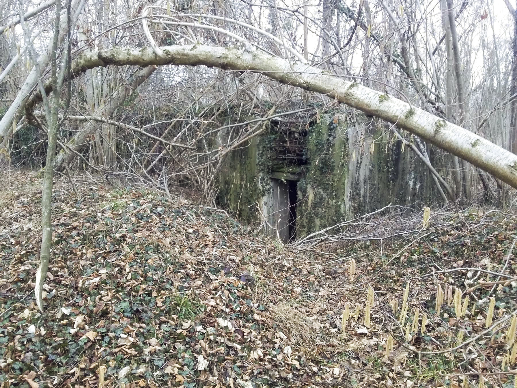 Ligne Maginot - BOIS D'ARTZENHEIM 1 - (PC) - 