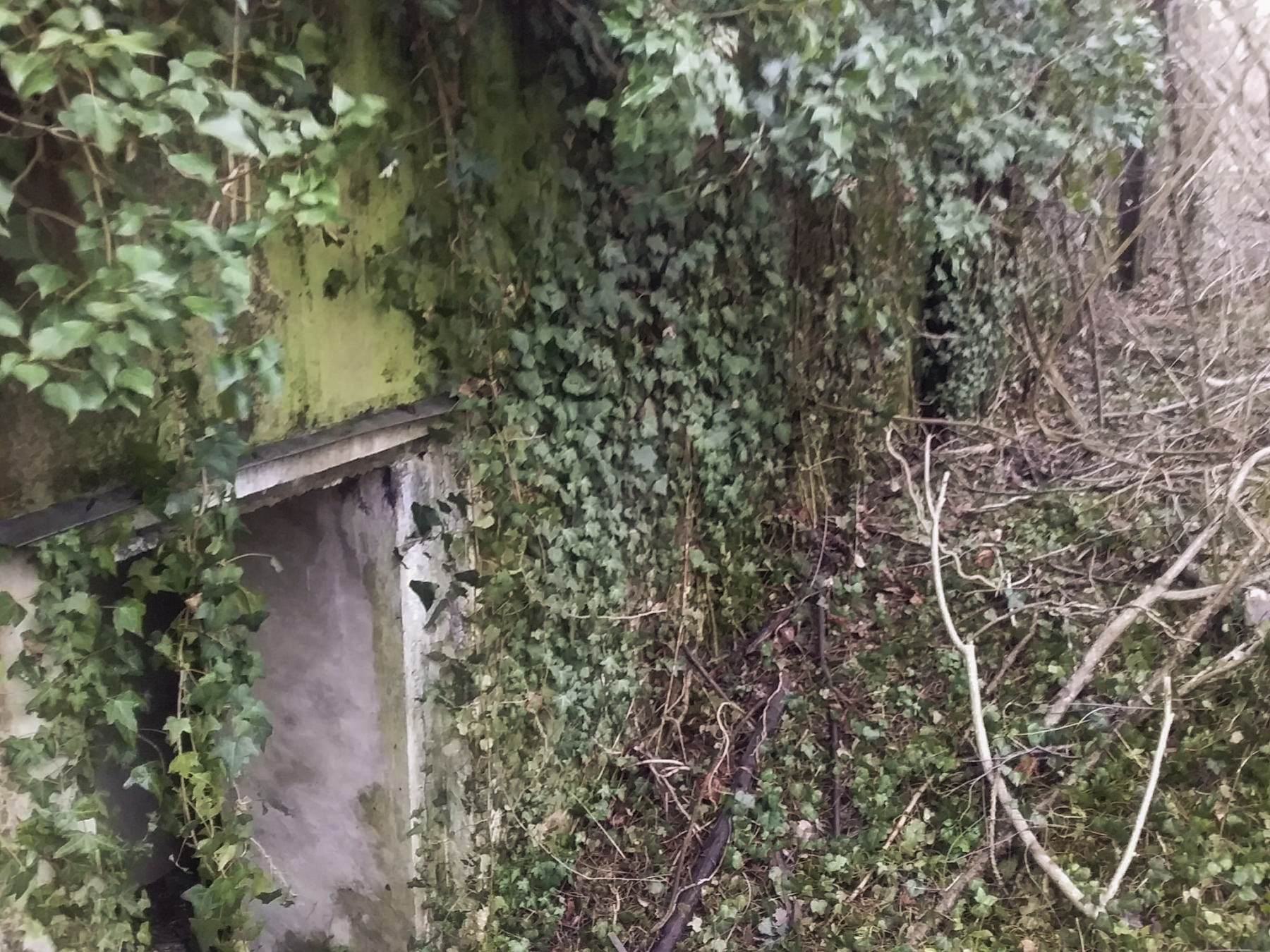 Ligne Maginot - BOIS D'ARTZENHEIM 1 - (PC) - 