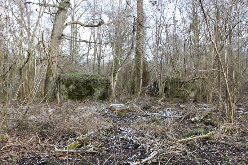 Ligne Maginot - ROSSMOERDER SUD EST - (Blockhaus pour arme infanterie) - Le blockhaus et l'abri voisin
