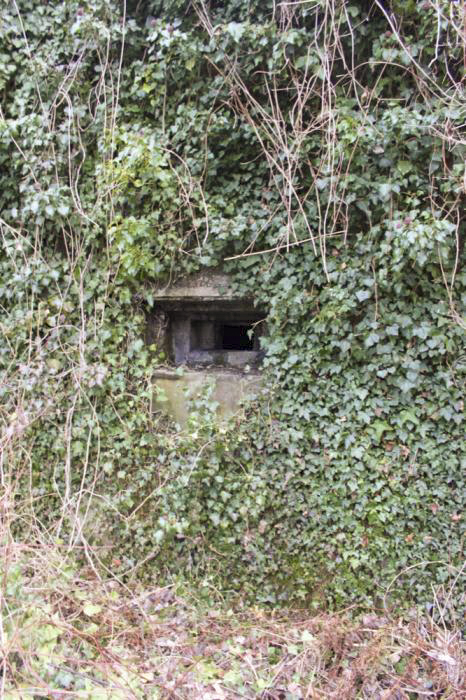 Ligne Maginot - SCHWANG - (Blockhaus pour arme infanterie) - Vue extérieure d'un des créneaux