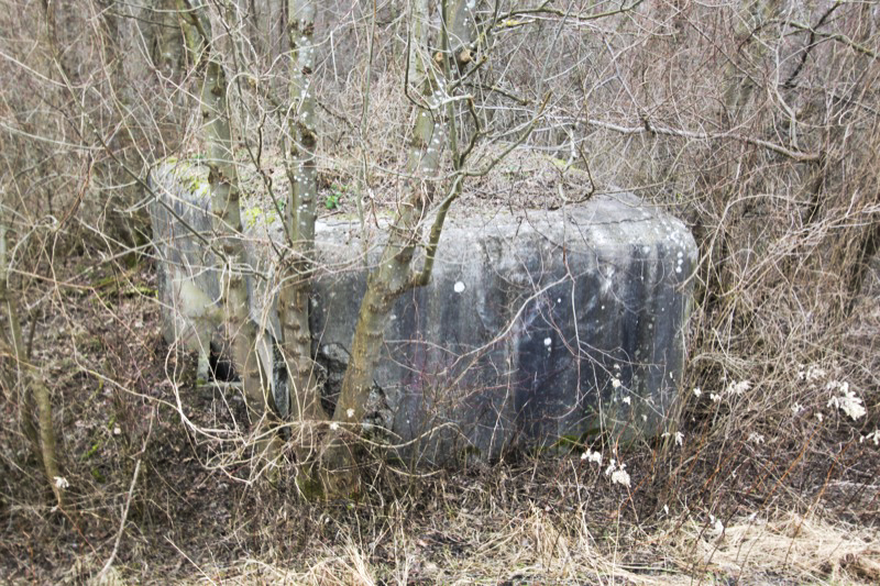 Ligne Maginot - SCHWARZLACH 1 - (Blockhaus pour arme infanterie) - 