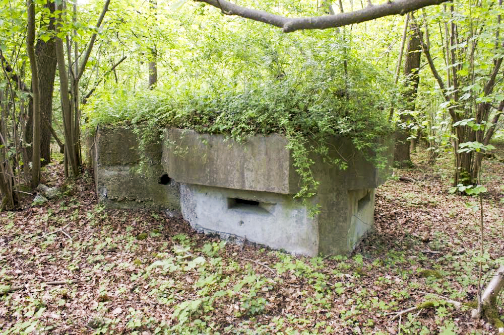 Ligne Maginot - 12 - WANTZENAU DIGUE 1 - (Blockhaus pour arme infanterie) - 