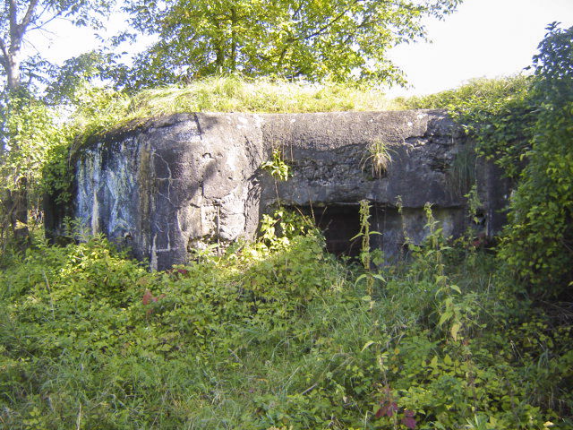Ligne Maginot - WANTZENAU GARE (PC de Sous-Quartier) -  - Patrick KRETTNICH