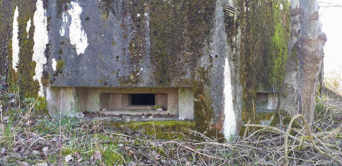 Ligne Maginot - WANTZENAU GARE - (PC) - Chambre de tir ouest, détail créneaux - Les Gardiens du Rhin