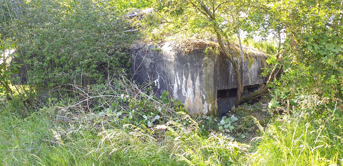 Ligne Maginot - WANTZENAU GARE - (PC de Sous-Quartier) - Chambre de tir nord pour deux mitrailleuses - Les Gardiens du Rhin