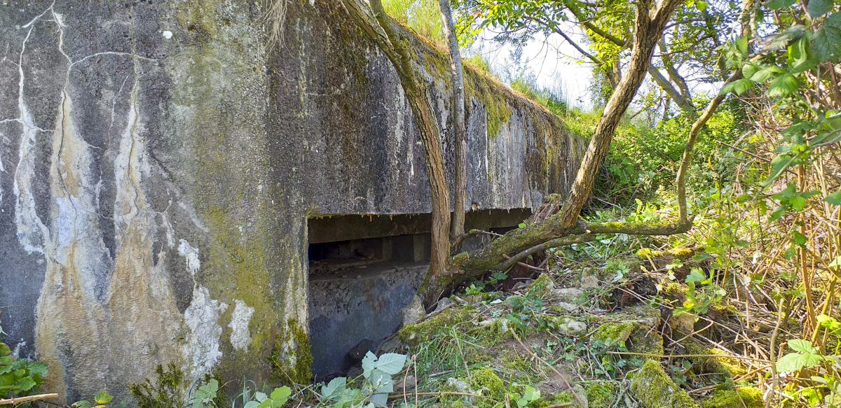 Ligne Maginot - WANTZENAU GARE - (PC de Sous-Quartier) - Chambre de tir nord pour deux mitrailleuses - Les Gardiens du Rhin