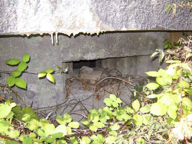 Ligne Maginot - WANTZENAU GARE (PC de Sous-Quartier) -  - Patrick KRETTNICH