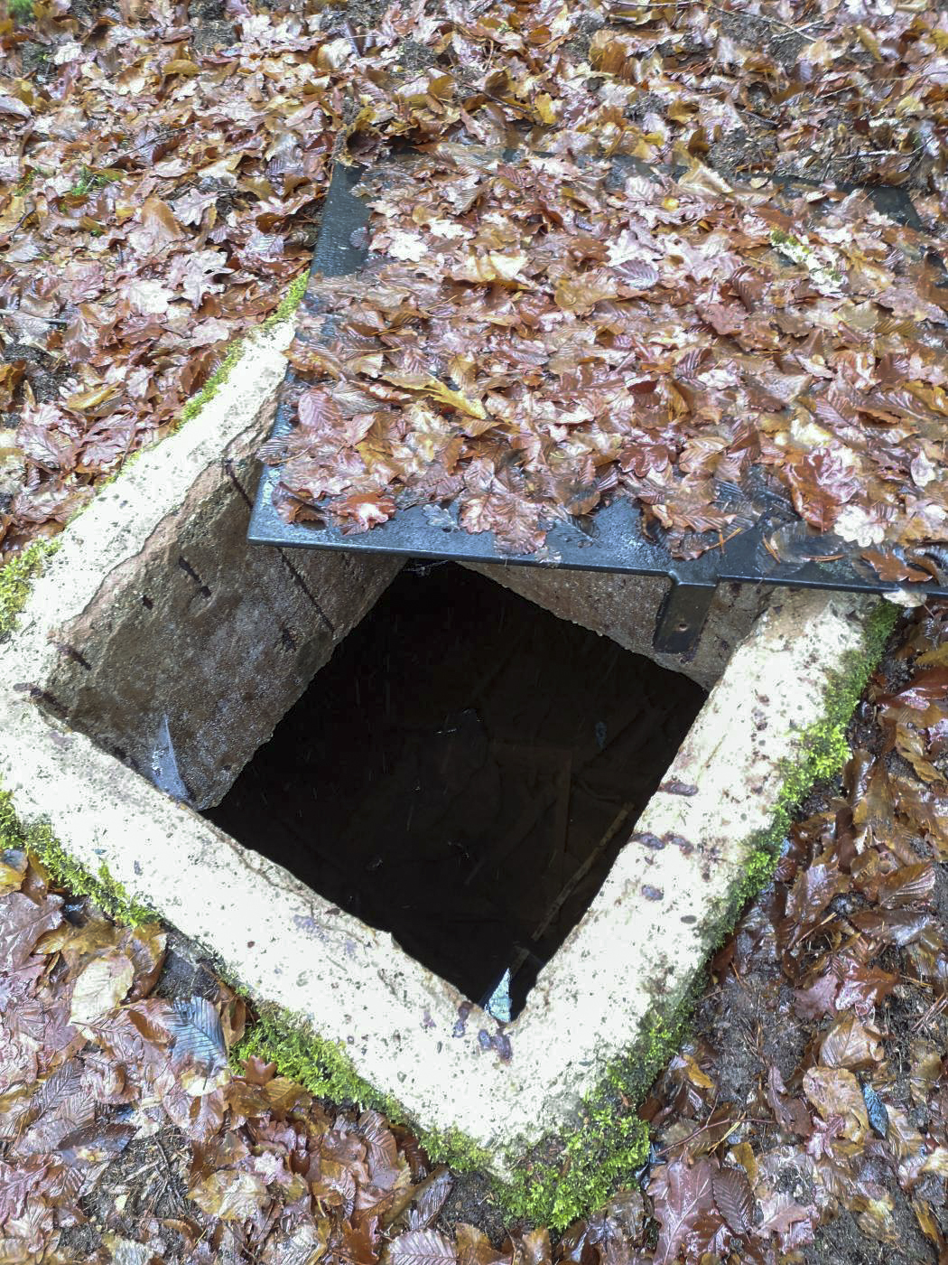 Ligne Maginot - BAERENTHAL - (Dépôt de Munitions) - Le site dispose d'au moins 3 citernes (en cas d'incendie ?).