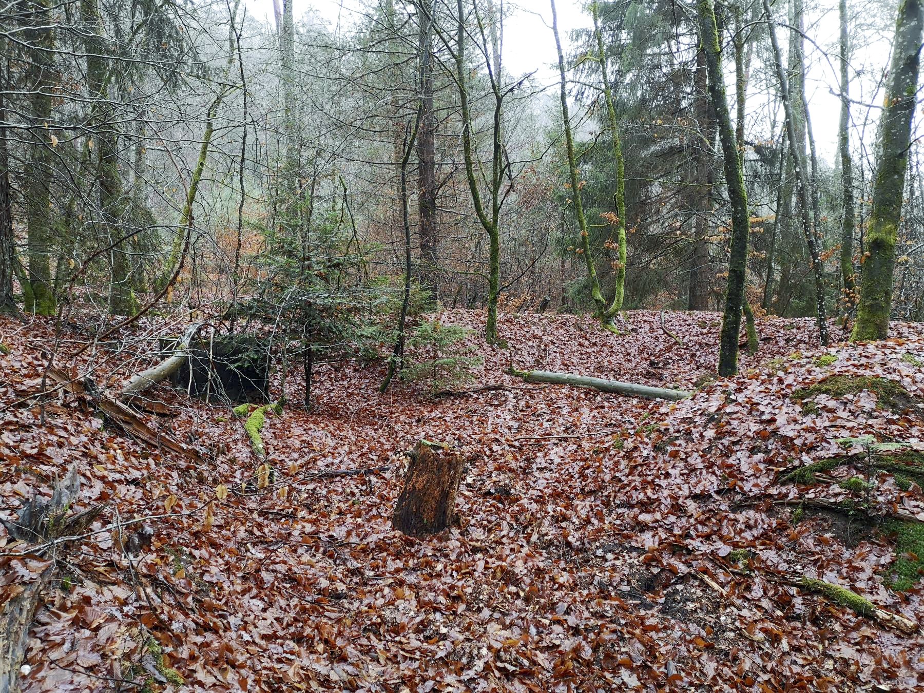 Ligne Maginot - BAERENTHAL - (Dépôt de Munitions) - Les alvéoles de terre disposent toutes d'un bac en béton. - Association des Amis de la Fortification des Vosges du Nord