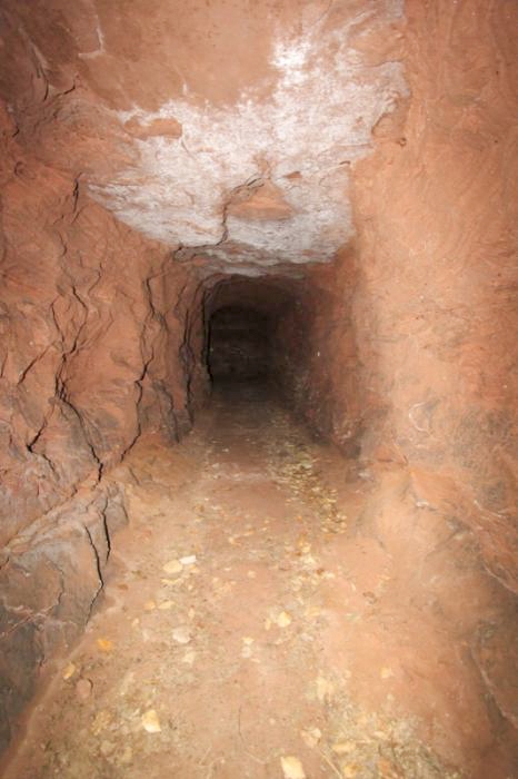 Ligne Maginot - INGWILLER - GEBIRGSWALD (RFL ET/OU 43° CAF) - (PC de Région Fortifiée) - Galerie transversale