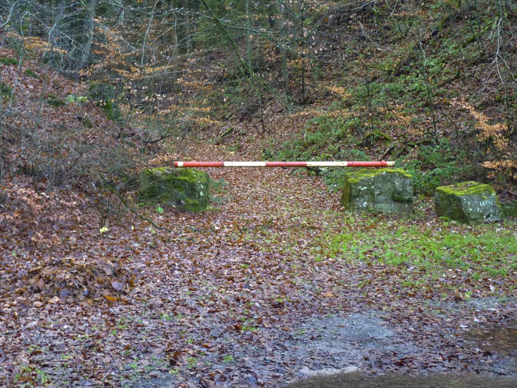 Ligne Maginot - INGWILLER - GEBIRGSWALD (RFL ET/OU 43° CAF) - (PC de Région Fortifiée) - Ancien accès